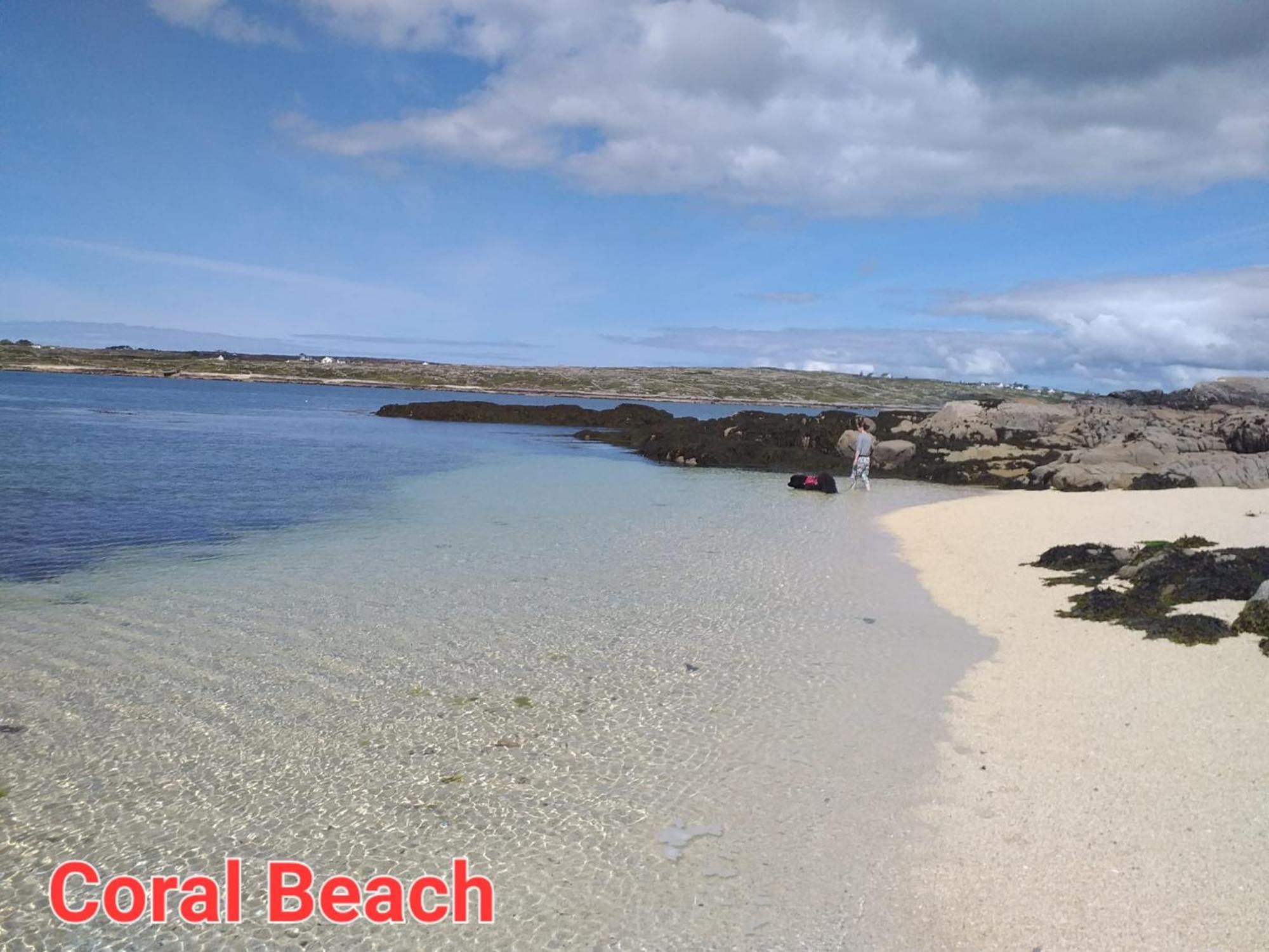 Connemara Lake View Apartment Camus Eighter エクステリア 写真
