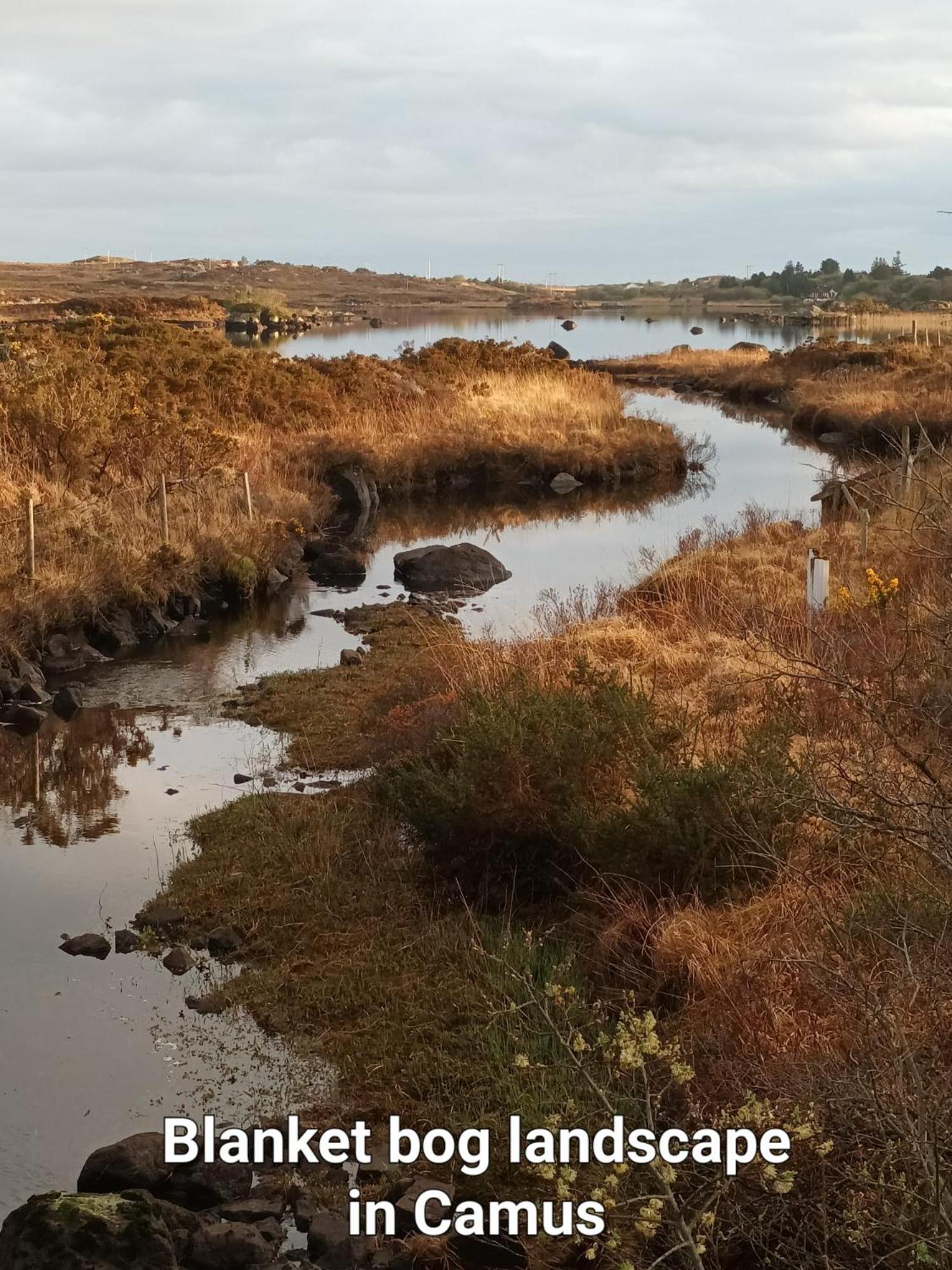 Connemara Lake View Apartment Camus Eighter エクステリア 写真