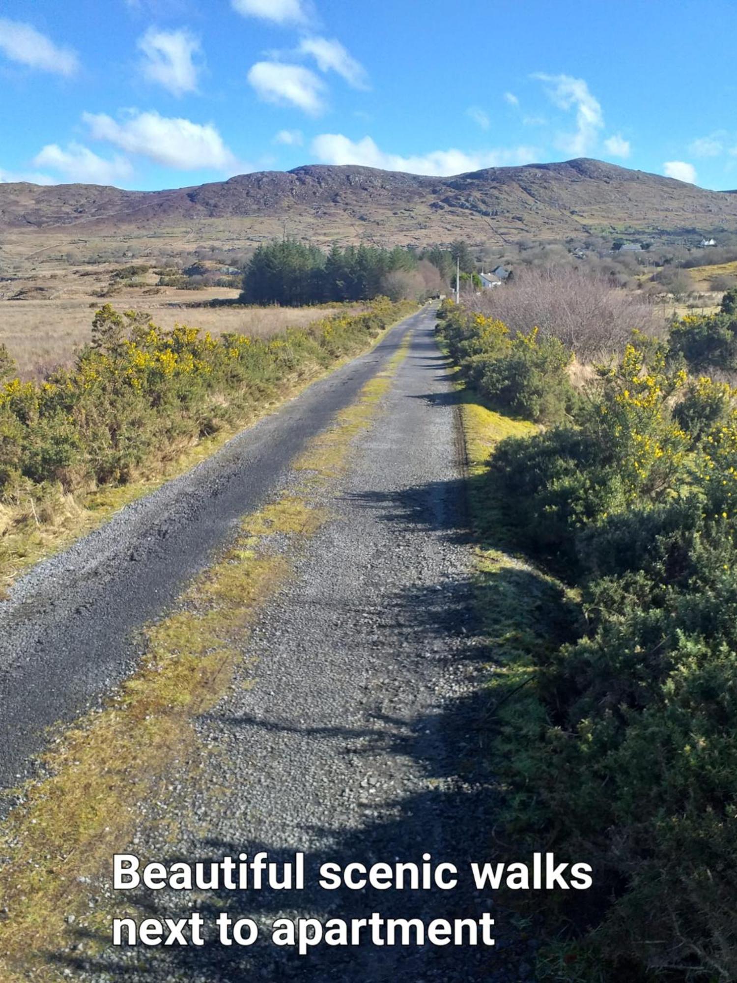 Connemara Lake View Apartment Camus Eighter エクステリア 写真