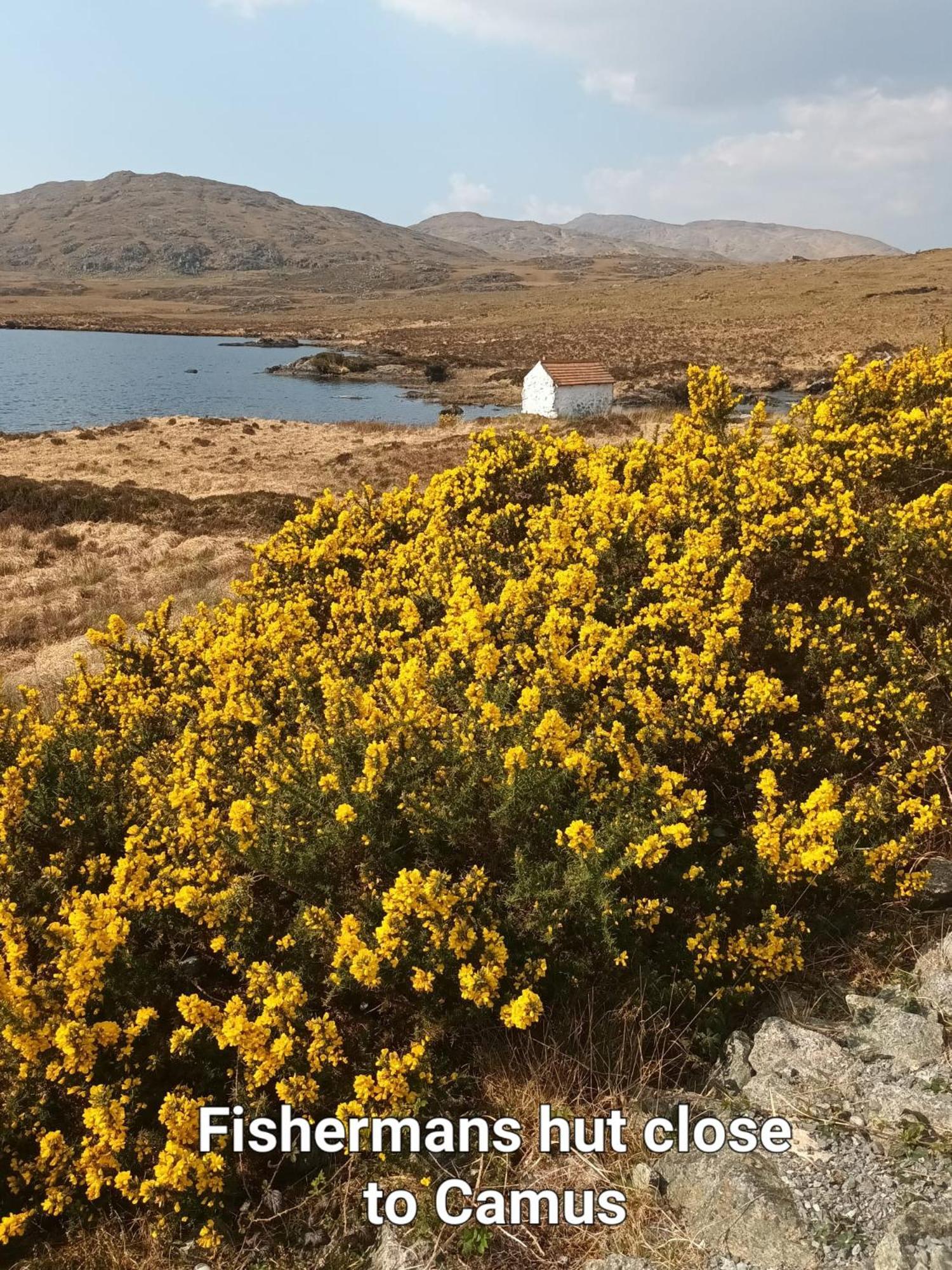 Connemara Lake View Apartment Camus Eighter エクステリア 写真